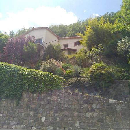 Ferienwohnung Les Lauriers Roquebilliere Exterior foto